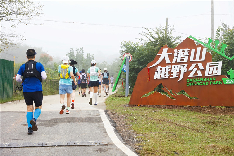这场汇聚全, 合的模式